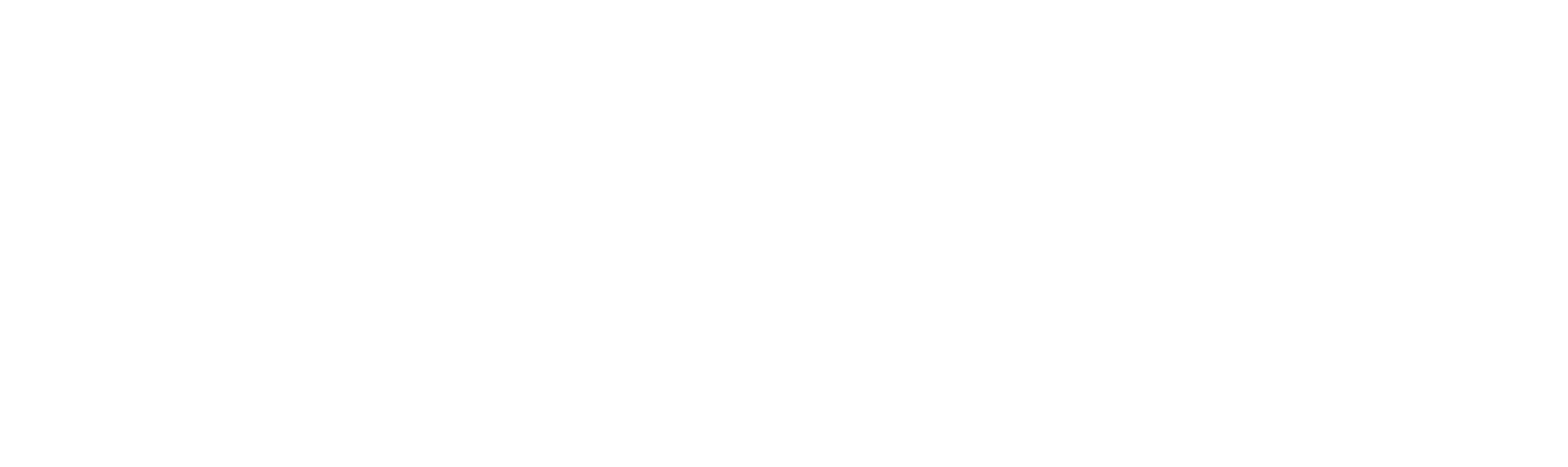Quint Audio logo